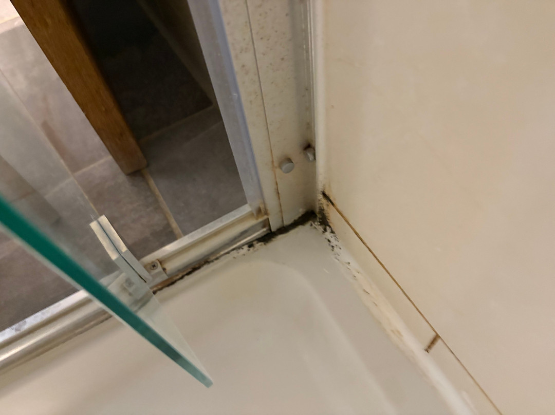 斯蒂夫基红狮主图