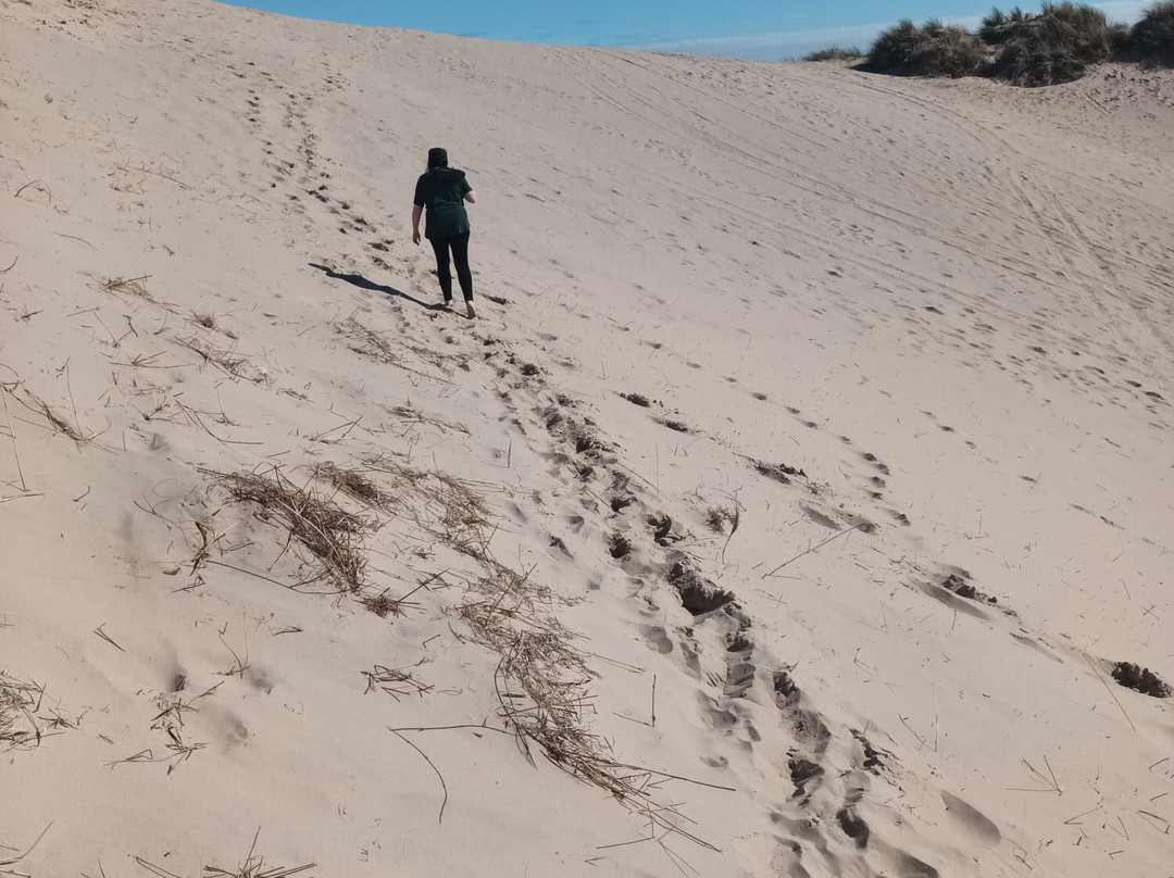 Curracloe Beach-Curracloe必去景点