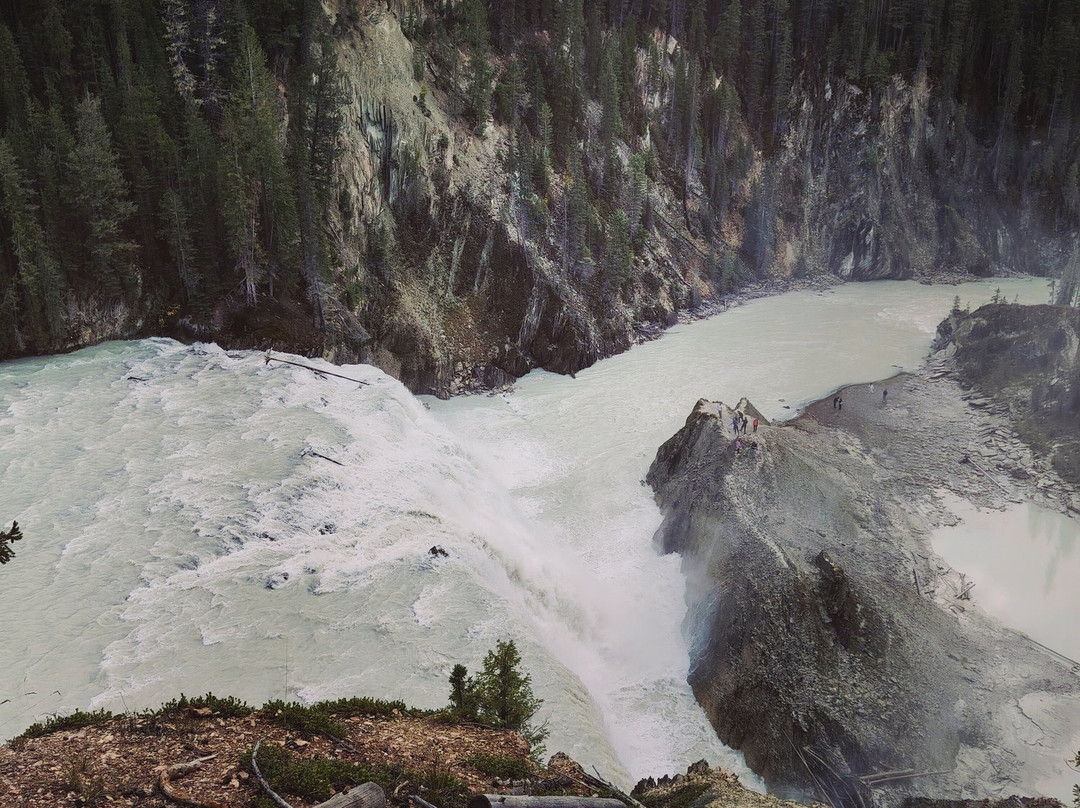Wapta Falls-幽鹤国家公园必去景点