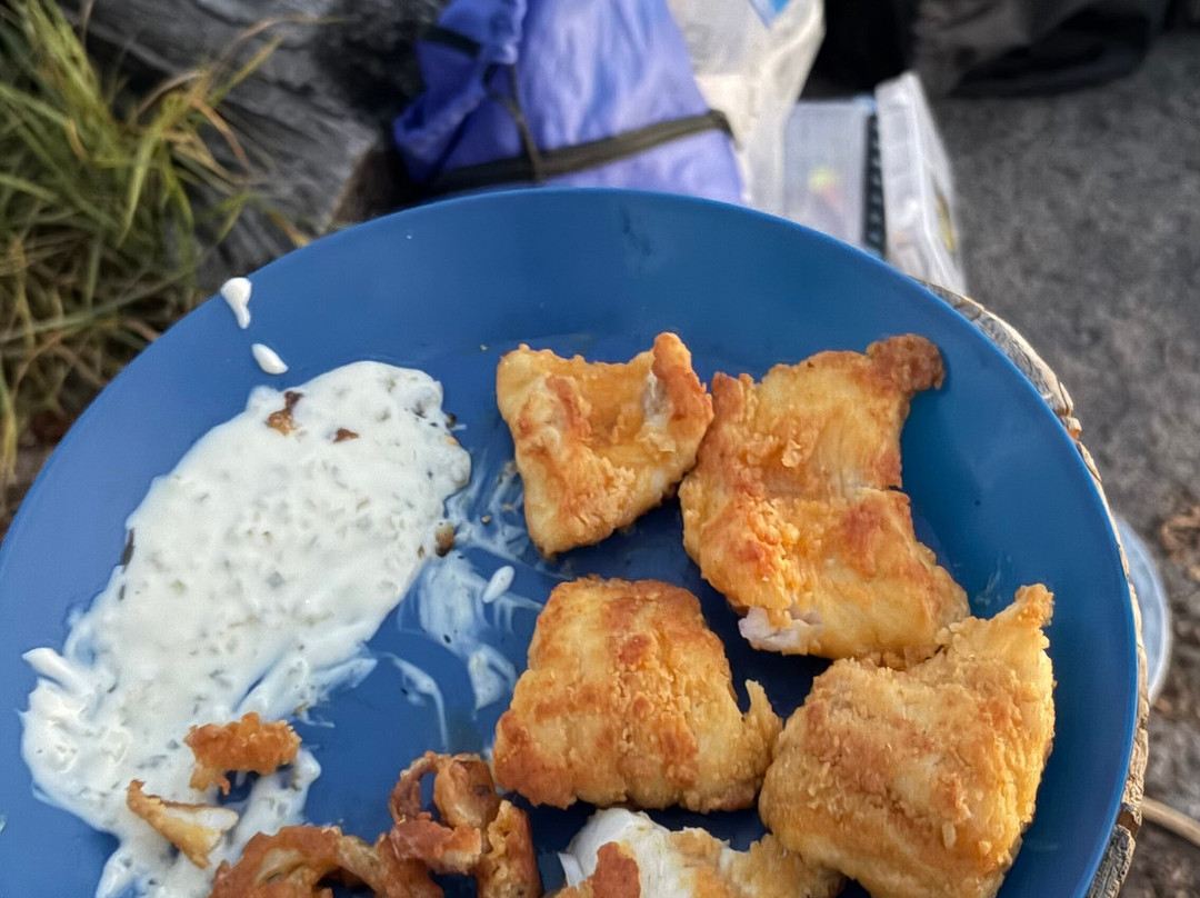 Way To Go Canoe Outfitters-伊利必去景点