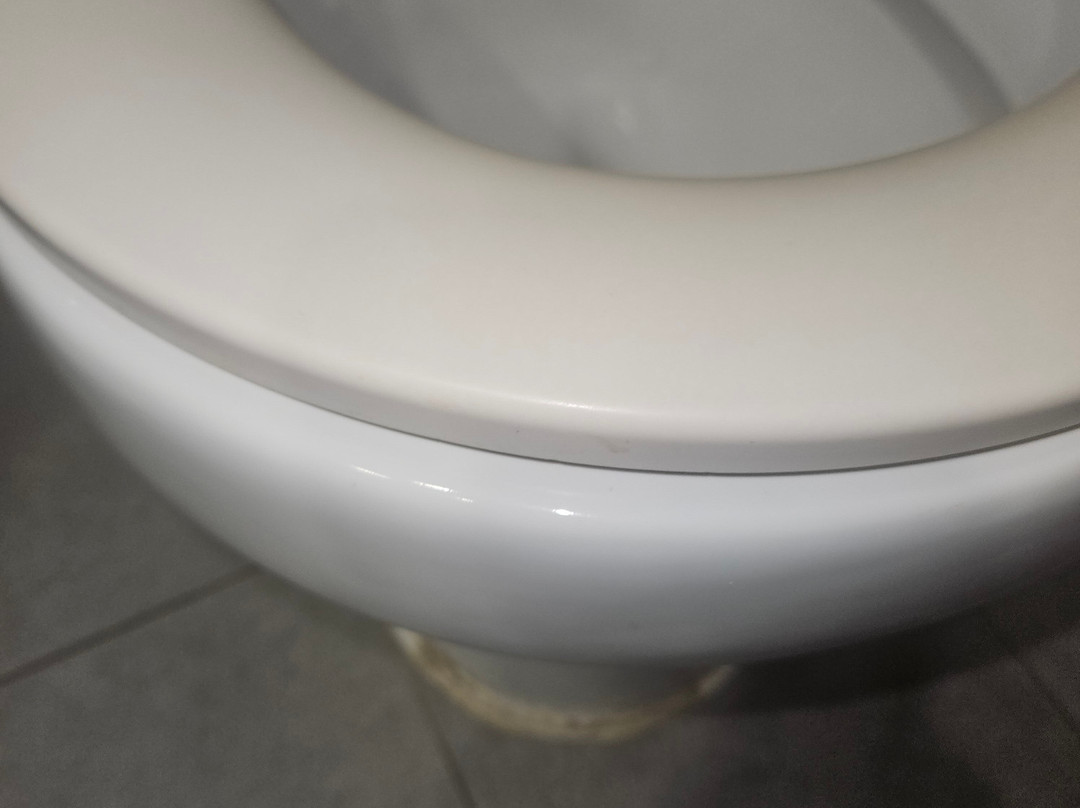丽笙宫殿酒店博阿维斯塔 - 全包主图