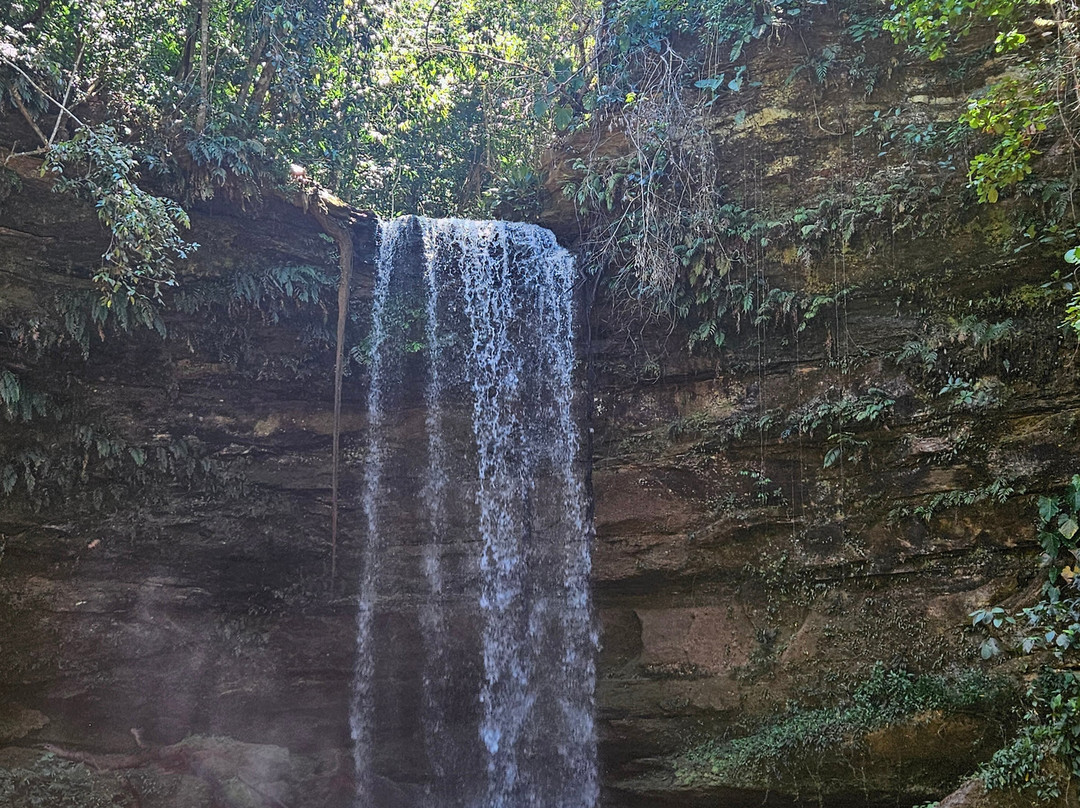 Lacos do Jalapao-Jalapao State Park必去景点