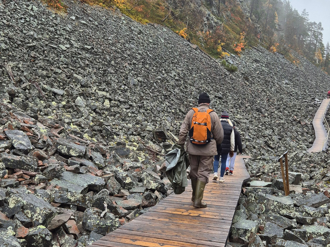 Call of the Wilderness - Activities & Tours-Pyhatunturi必去景点
