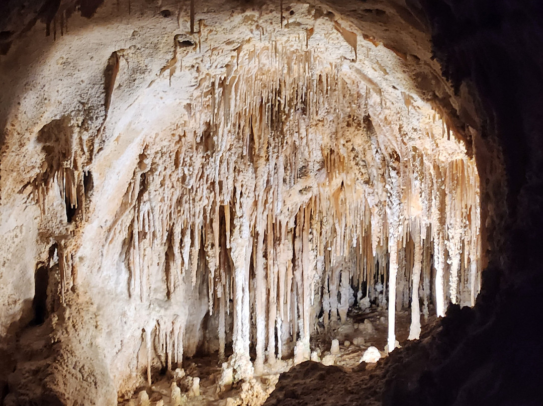 Carlsbad Caverns National Park Visitor Center-卡尔斯巴德洞穴国家公园必去景点