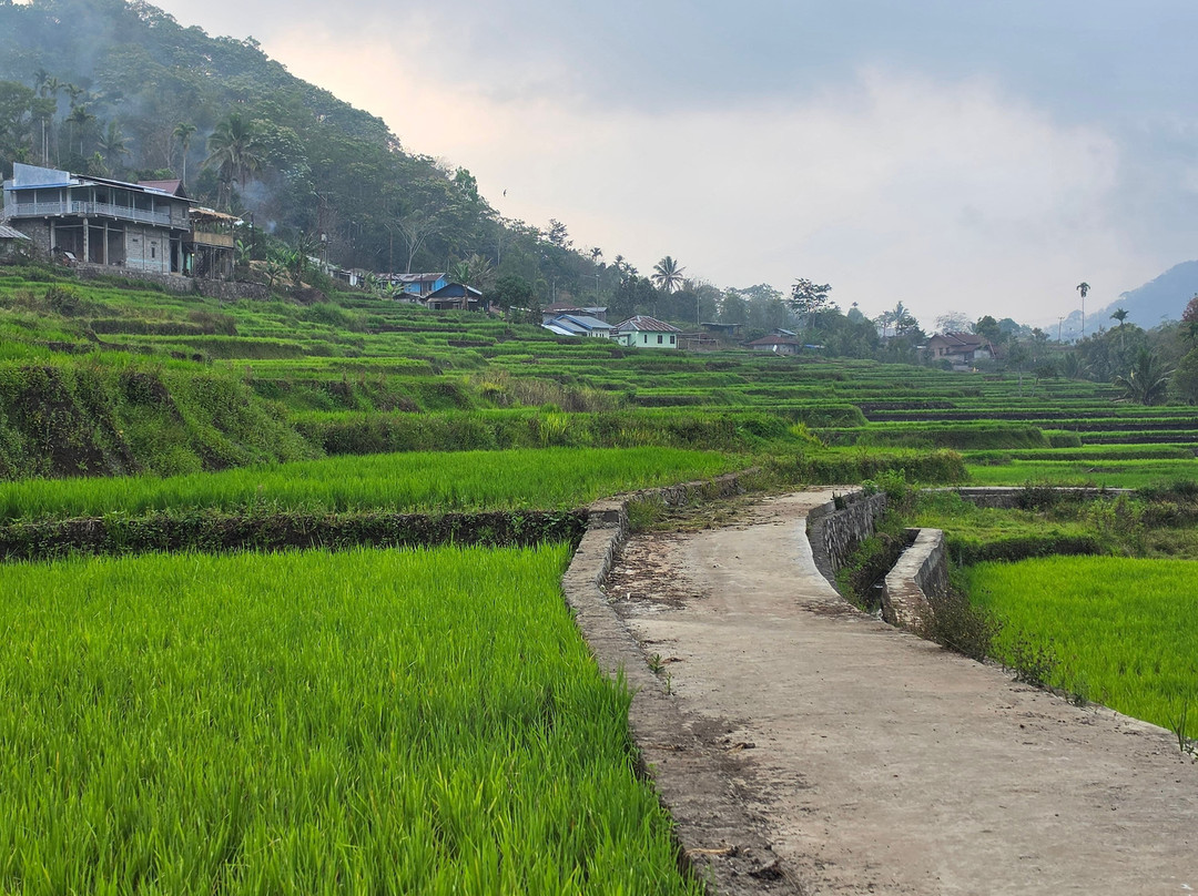 Flores Pristine Tour-Labuan Bajo必去景点