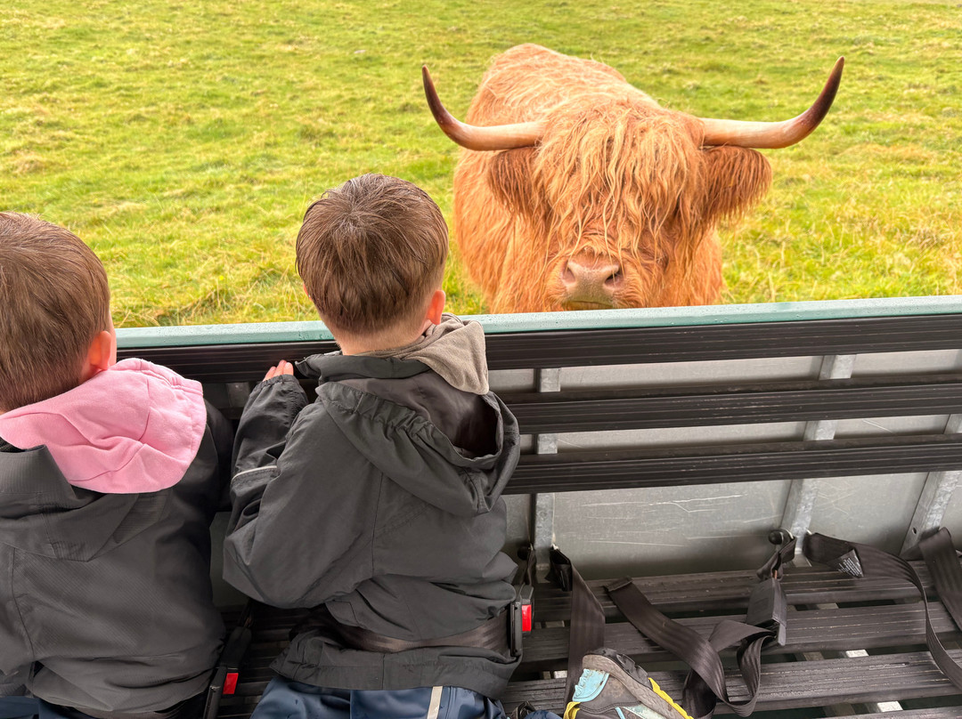 Kilmacolm Farm Tours