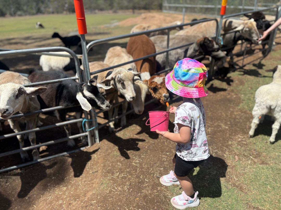 EWE Nique Hobby Farm Haigslea-Haigslea必去景点