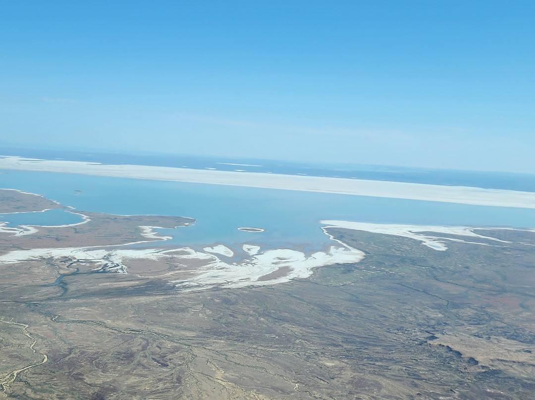 Gekko Safari - Outback Tours-Belair必去景点