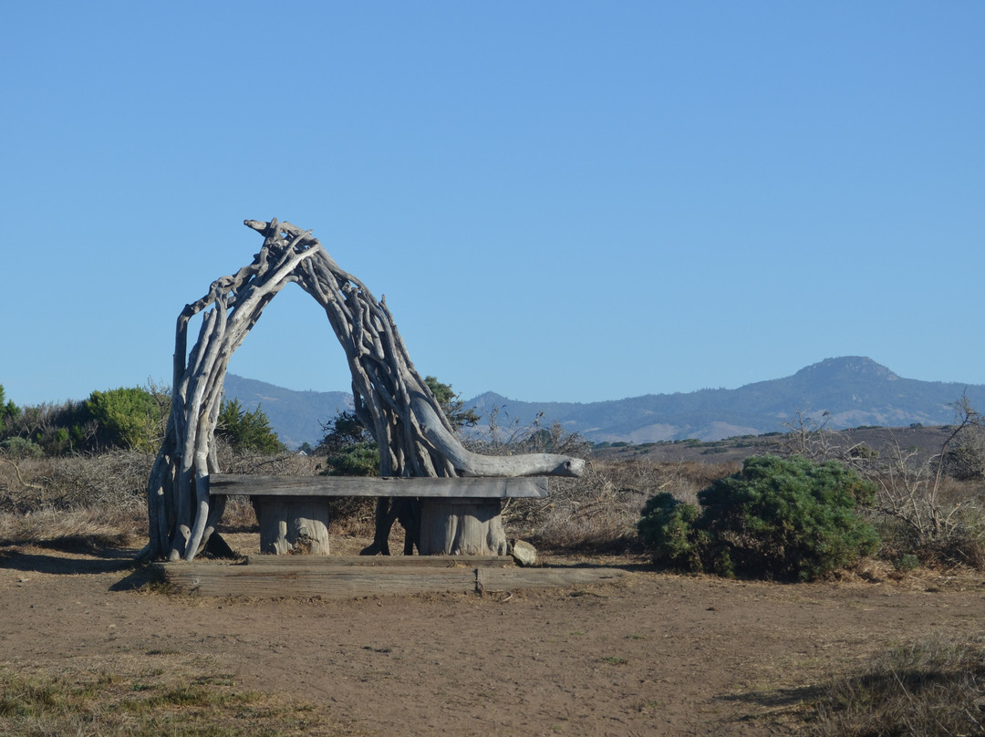 Fiscalini Ranch Preserve-坎布里亚必去景点