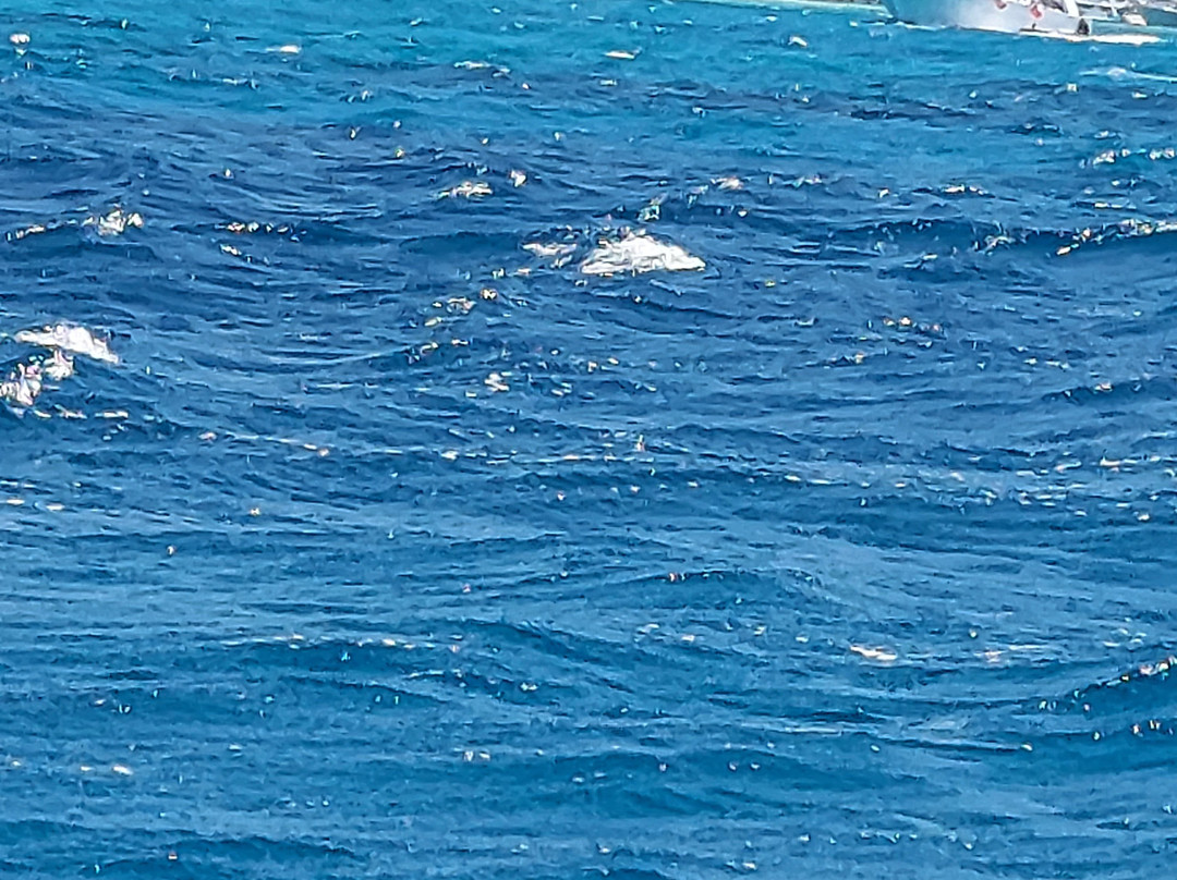 Mahmya Island