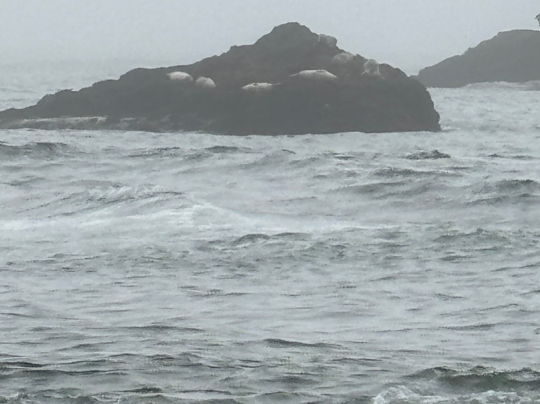 Shell Beach Bodega Bay-博德加湾必去景点