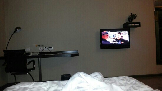 中艺快捷酒店-客卧