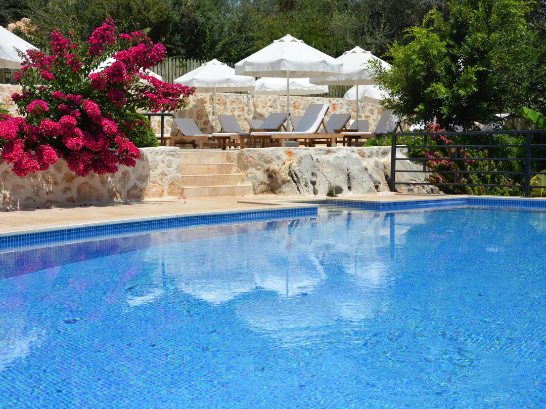 Patara酒店住宿-Dardanos Hotel