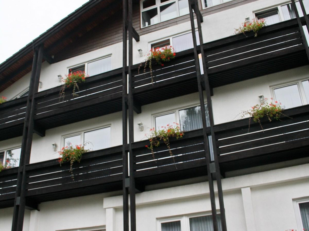 Langelsheim酒店住宿-Berghotel Wolfshagen