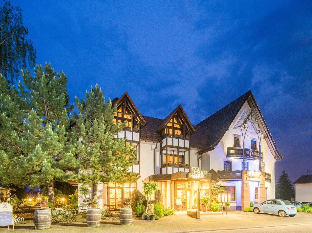 Hinterweidenthal酒店住宿-Hotel Felsentor