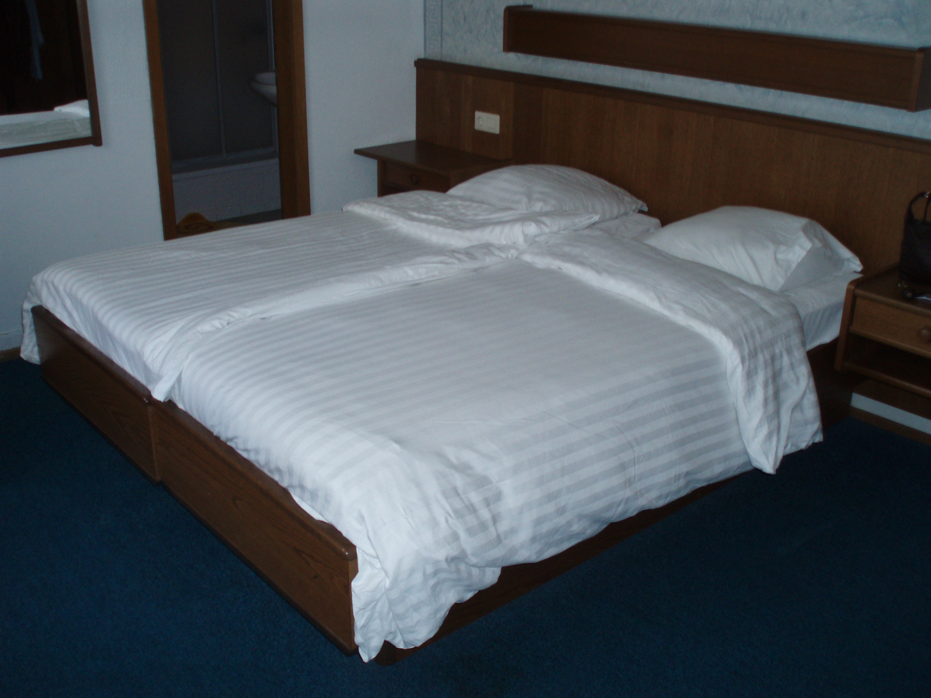 Hotel de la Sure-客卧