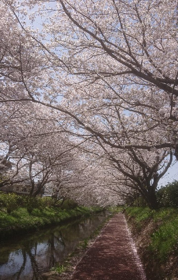 Konosu Fukiage Motoarakawa Hashizukushi