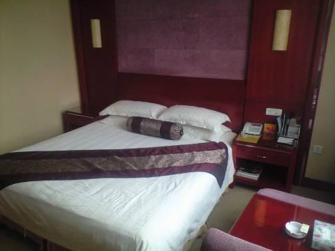 米兰假日酒店-客卧