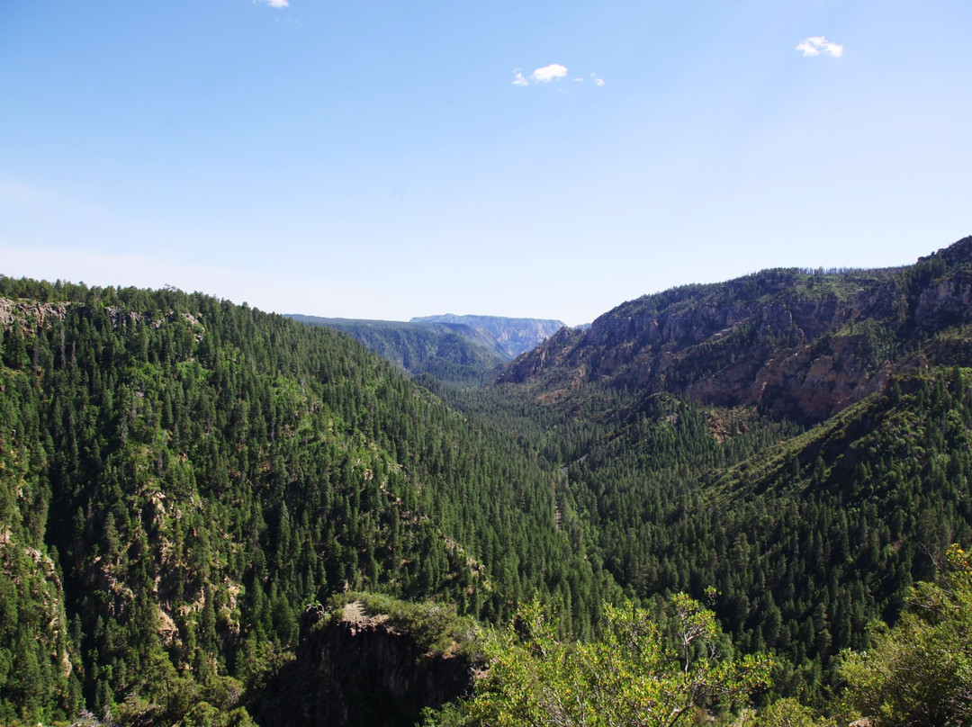 Coconino National Forest景点图片