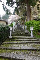 Tosen Shrine景点图片