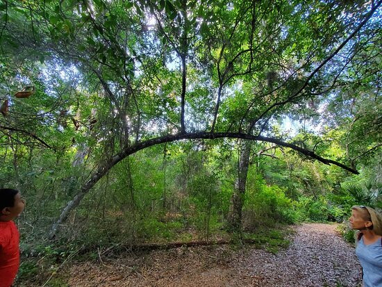 Barbara Pedersen Preserve-莱克威尔士必去景点