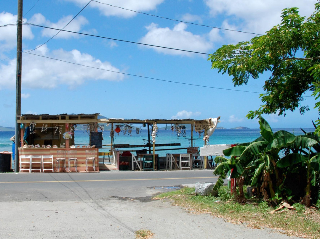 North Shore Shell Museum景点图片