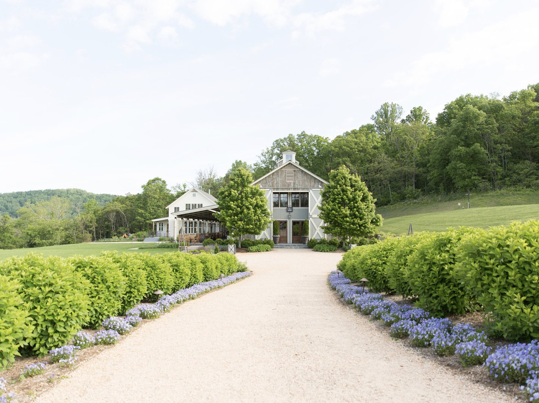 Pippin Hill Farm & Vineyards景点图片