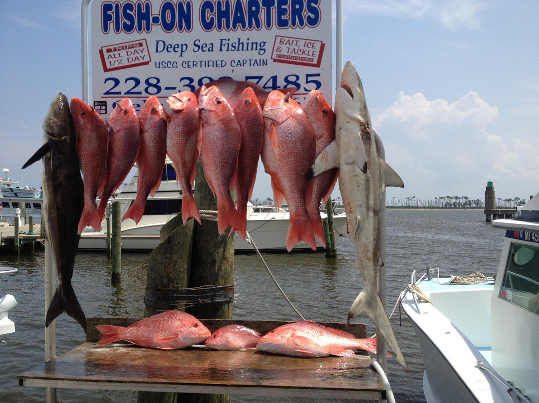 Fish-On Charters景点图片