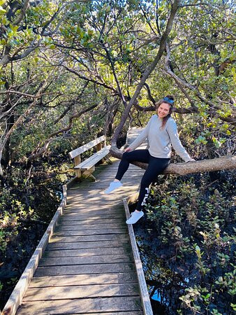 St Kilda Mangrove Trail and Interpretive Centre景点图片