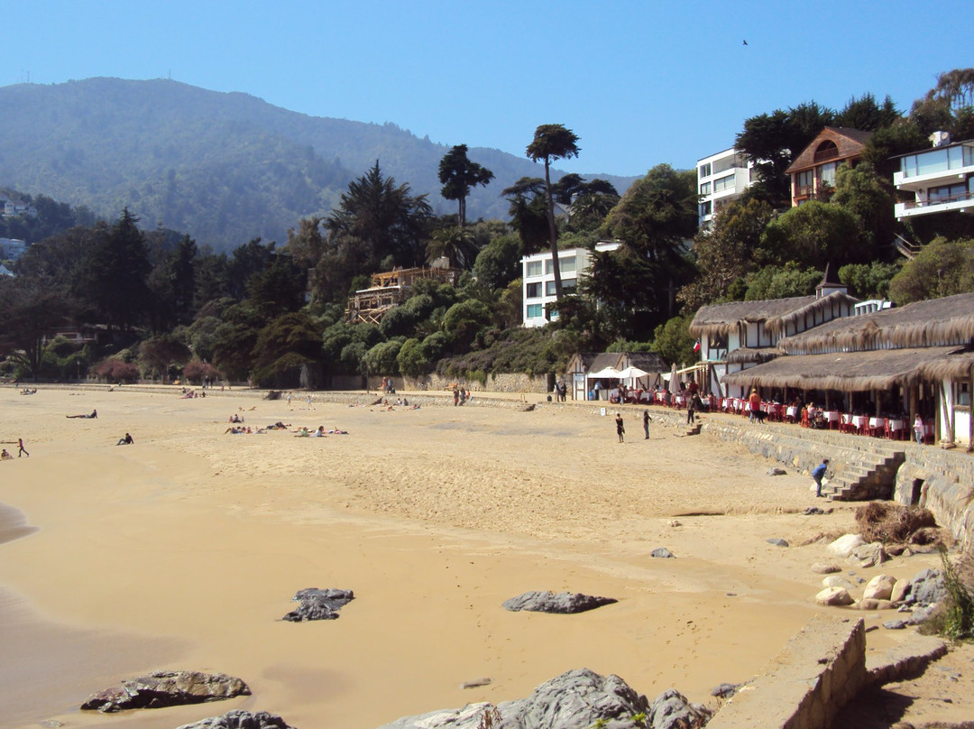 Playa Zapallar