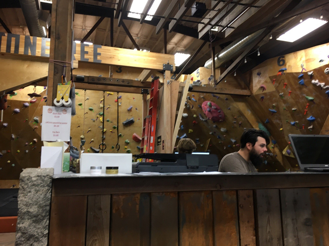 Stonetree Climbing Center-赫勒拿必去景点