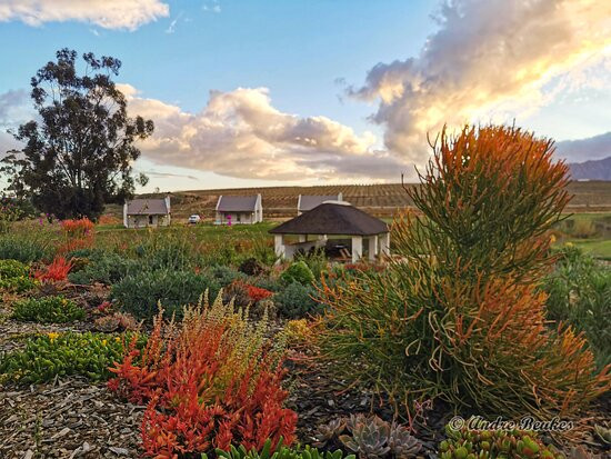 Rijks Wine Estate & Hotel主图