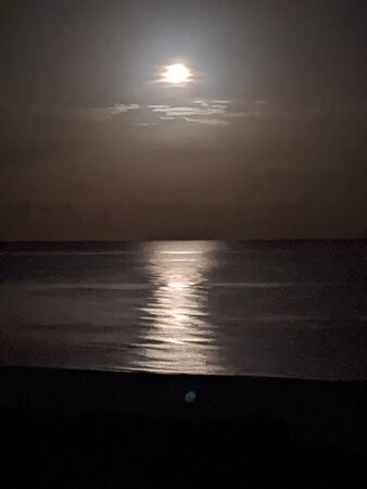 The Charter Club of Marco Beach主图