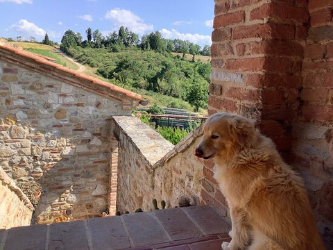 Agriturismo Scannano主图