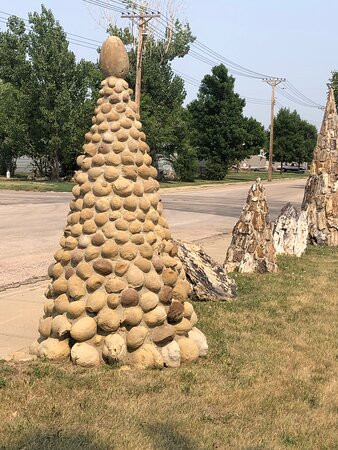 Petrified Wood Park景点图片