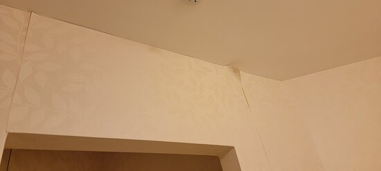 Holiday Inn & Suites 温莎（大使桥） by IHG主图