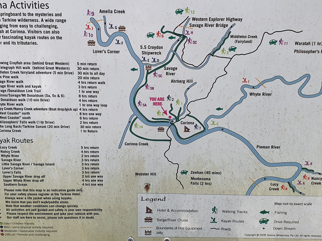 Huon Pine Walk-Corinna必去景点