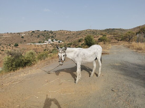 Gr 249 Senda Litoral-Rincon de la Victoria必去景点