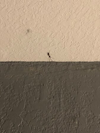 Inn at Corolla Light主图