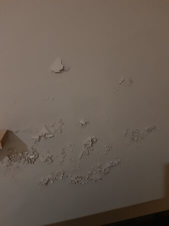 The Cottage Hotel主图