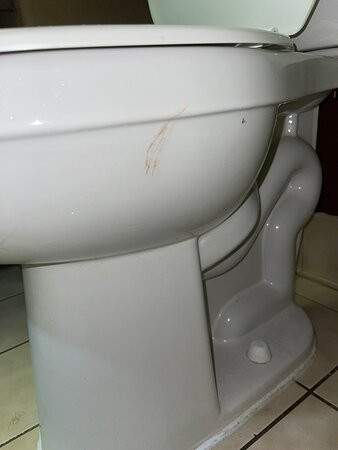 Best Western Pawleys Island主图