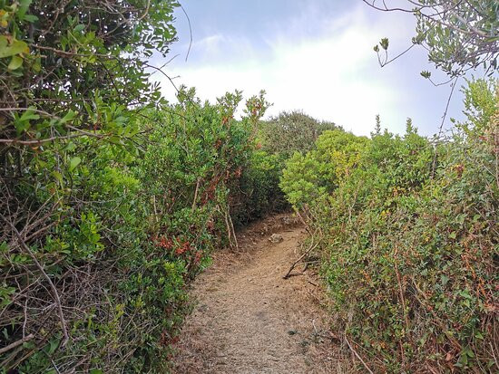 Parco Di Gianola E Monte Di Scauri-Formia必去景点