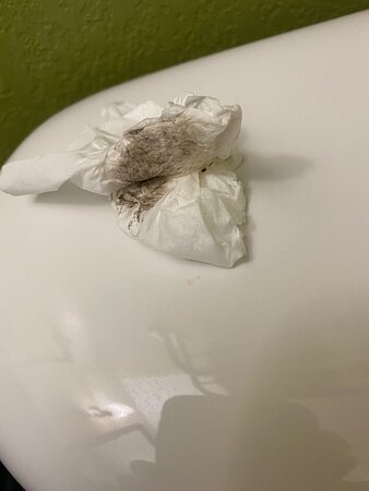 恩波里亚司丽普酒店-浴室