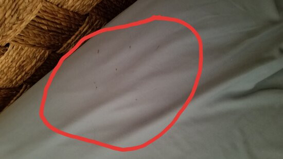 Dauphin Island Harbor House主图