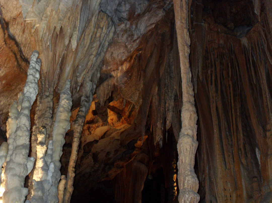 Grotte de Foissac-Foissac必去景点