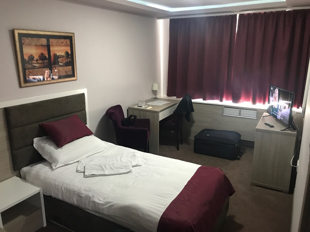 Lomnitsa酒店住宿-Hotel Ana Lux Spa