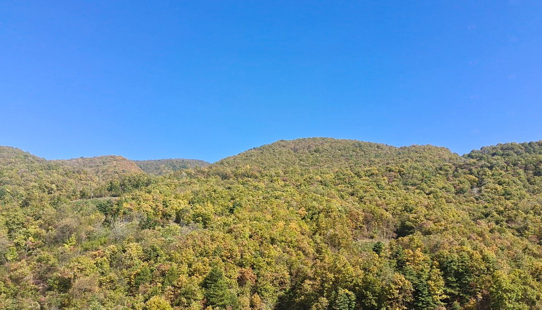 阿尔卡迪亚森林酒店主图