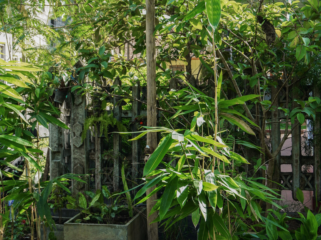 Jackie's Guest House