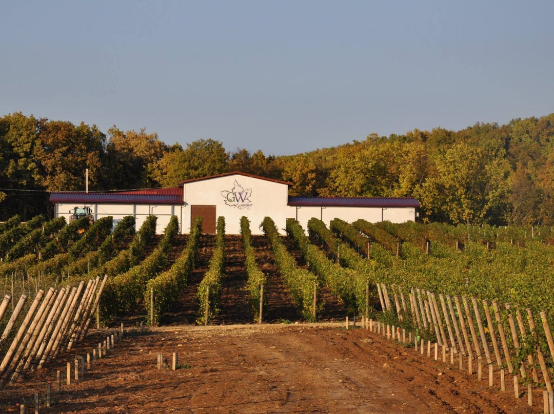 Gunko Winery-Nizhnebakanskaya必去景点