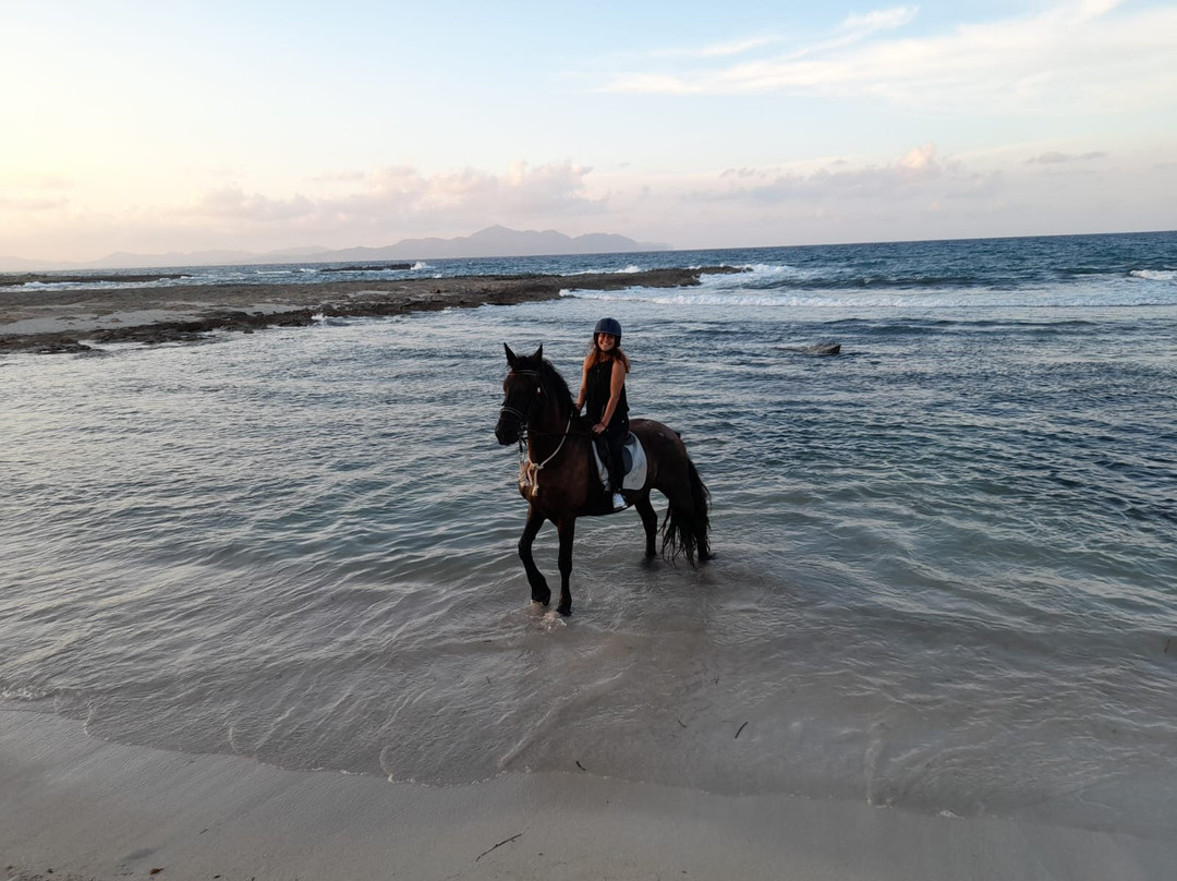 Finca Libertad Mallorca - Reiten Mallorca